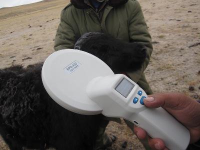 圖5 芯片成功掃描，芯片植入成功